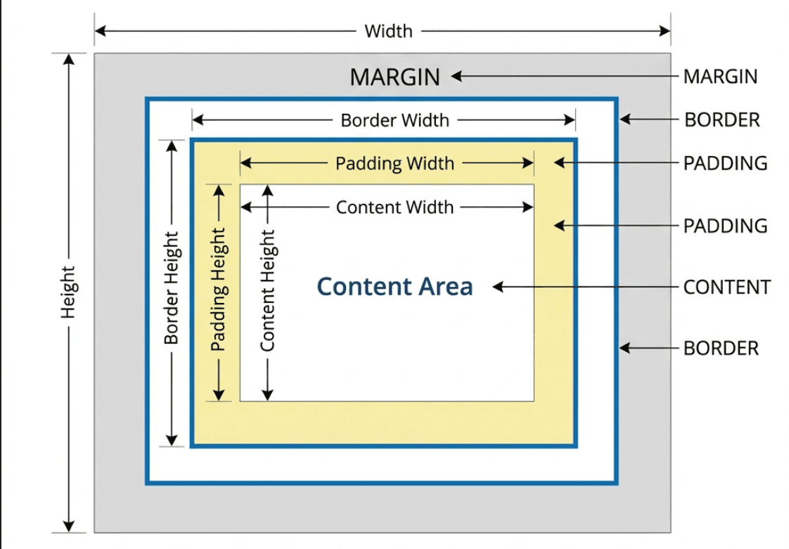 CSS Box Model Diagram
